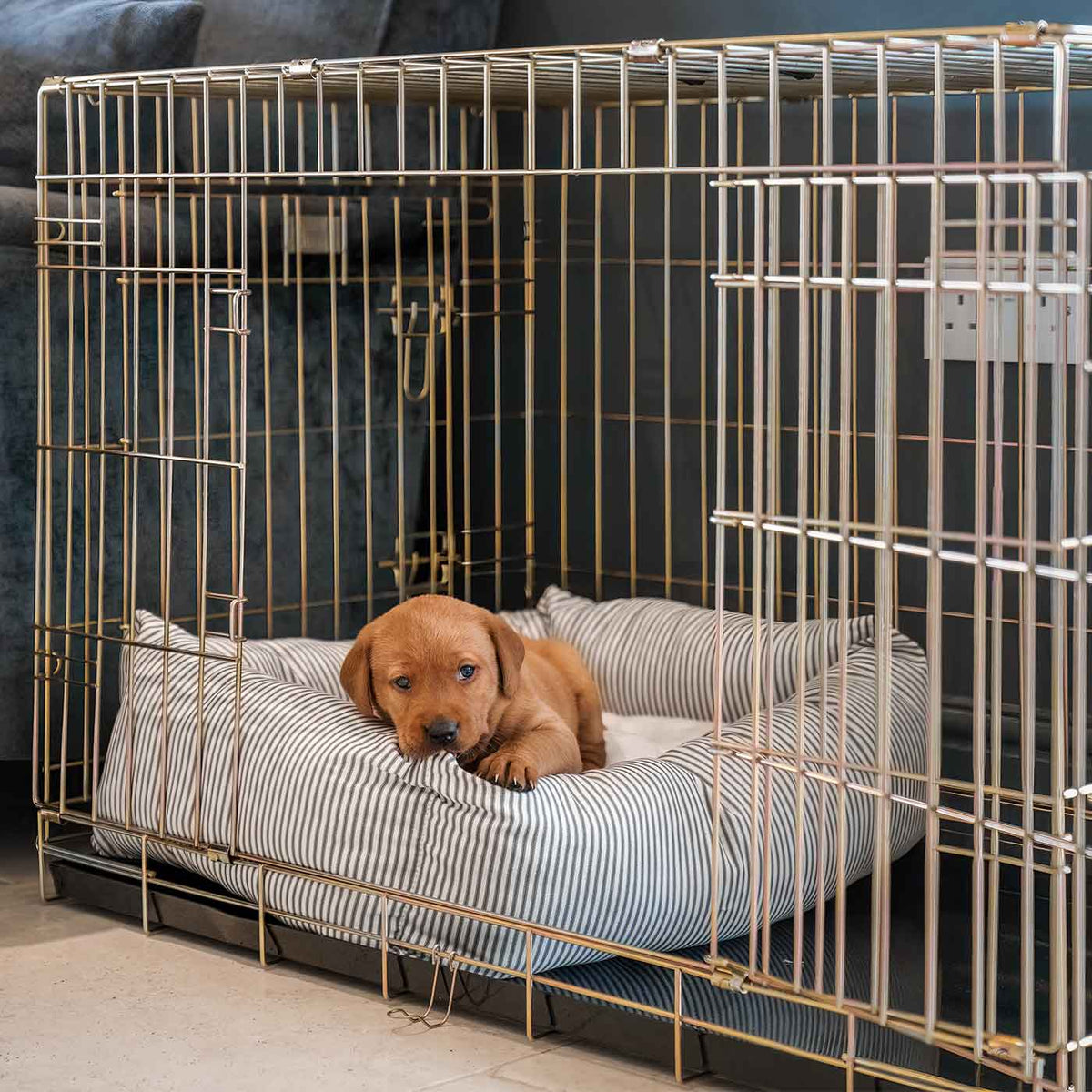 Cosy & Calming Puppy Crate Bed With Removable Covers in Regency Stripe, view 5