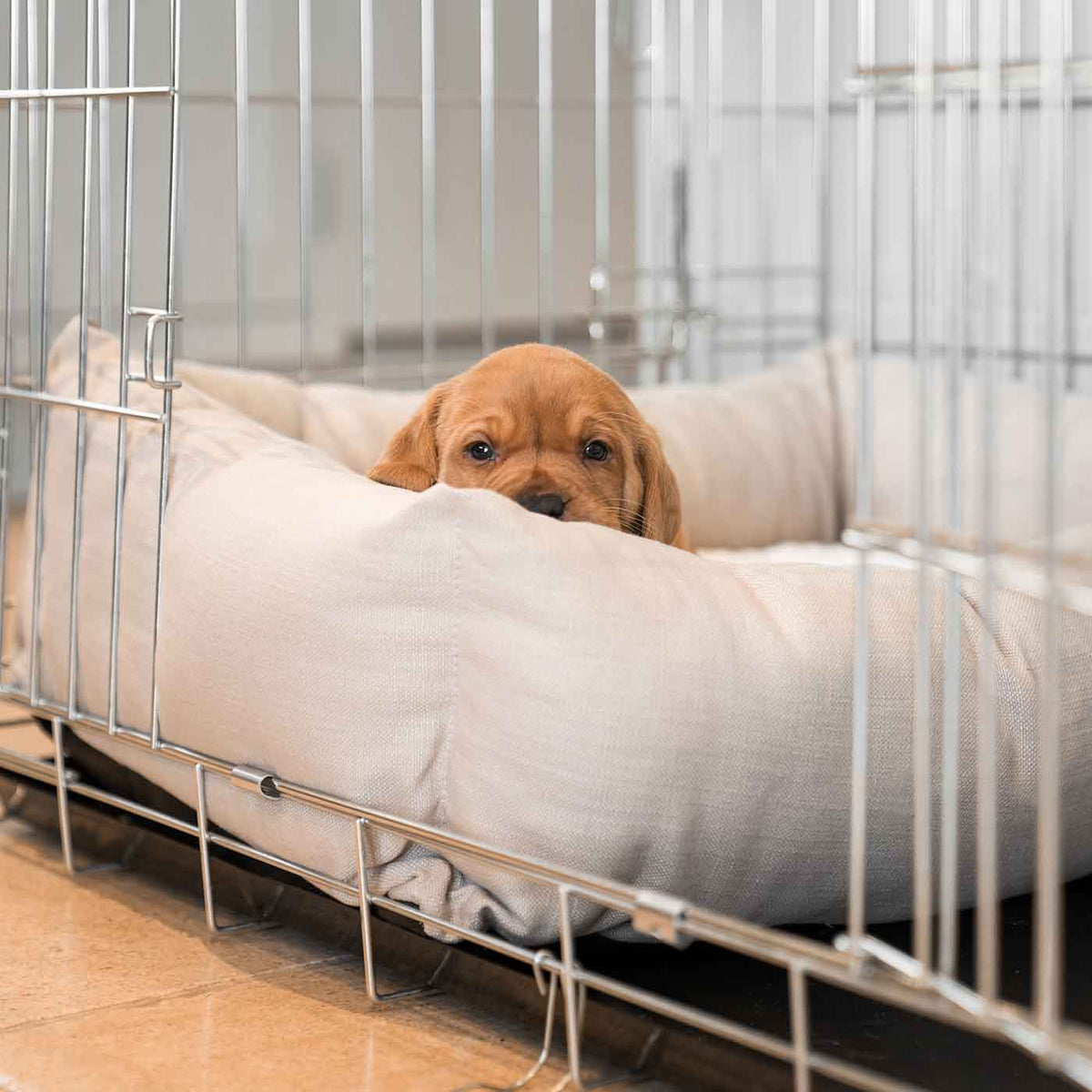 Dog Crate with Cosy & Calming Puppy Crate Bed in Savanna Oatmeal, view 3