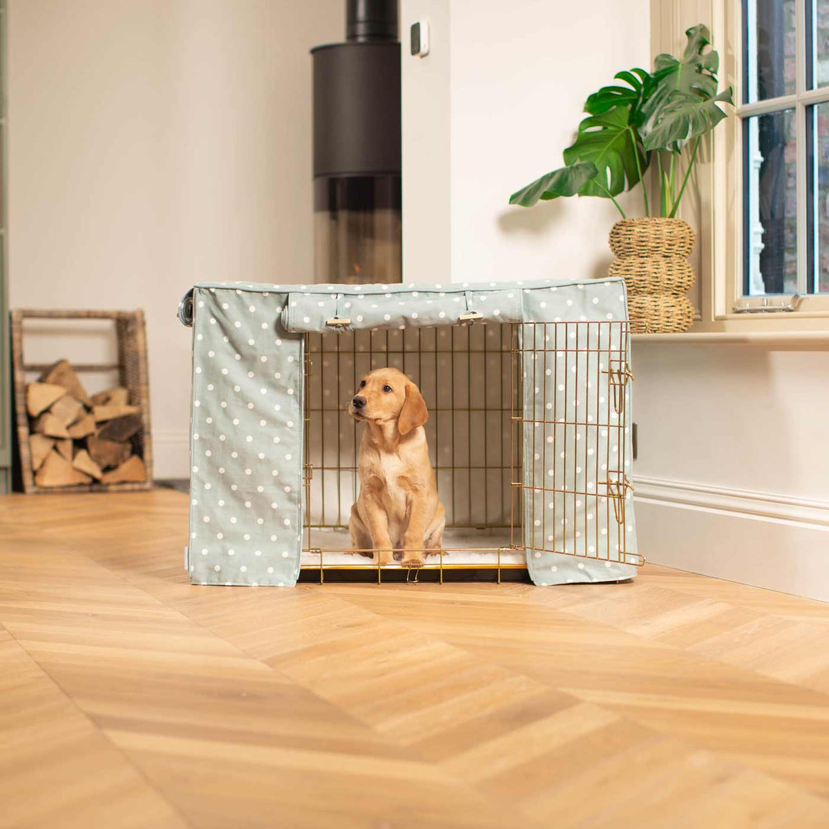 Dog Crate with Crate Cover in Duck Egg Spot, view 3