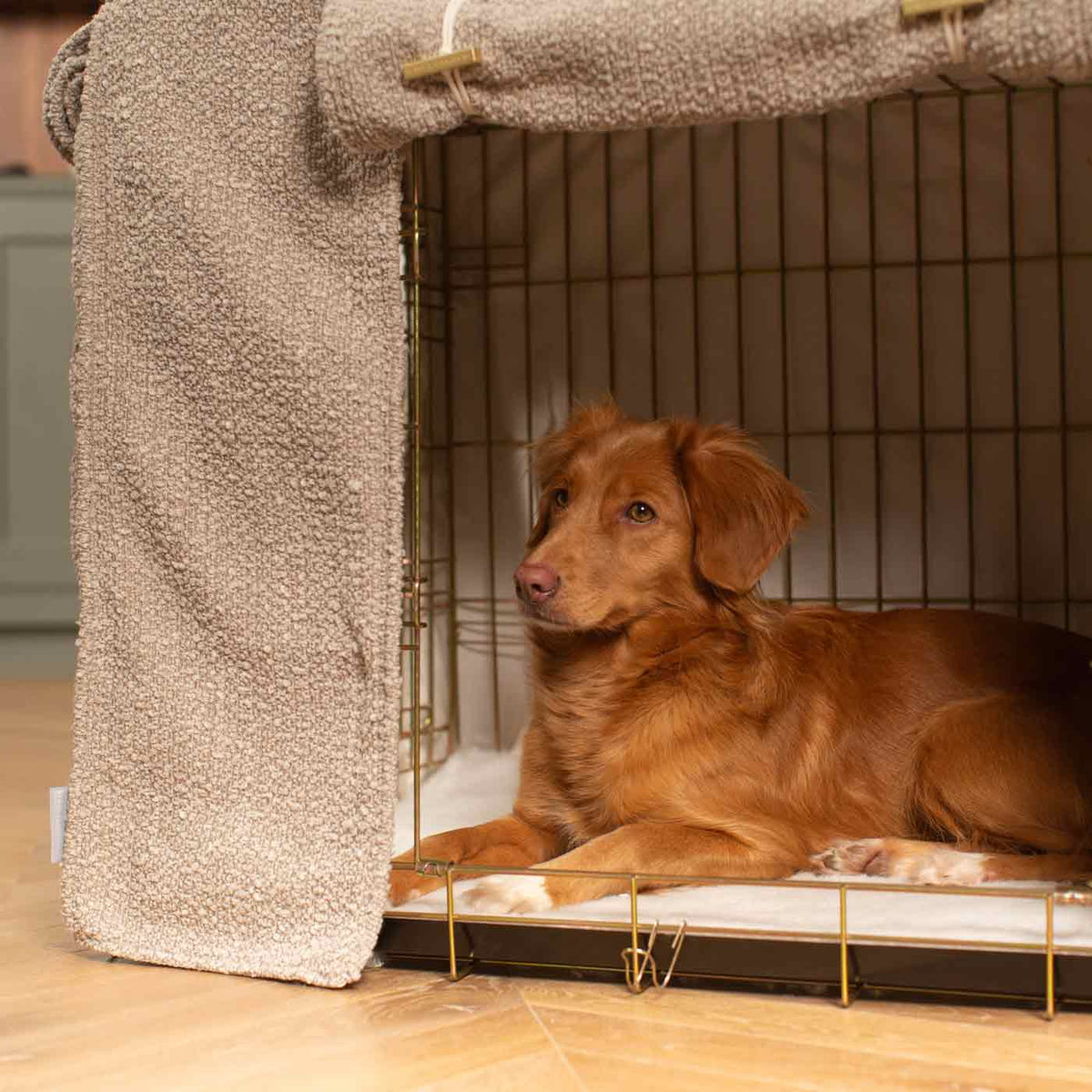 Dog Crate with Crate Cover in Mink Bouclé, view 2