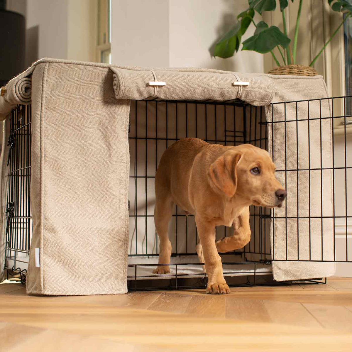 Dog Crate Cover in Natural Herringbone Tweed, view 4