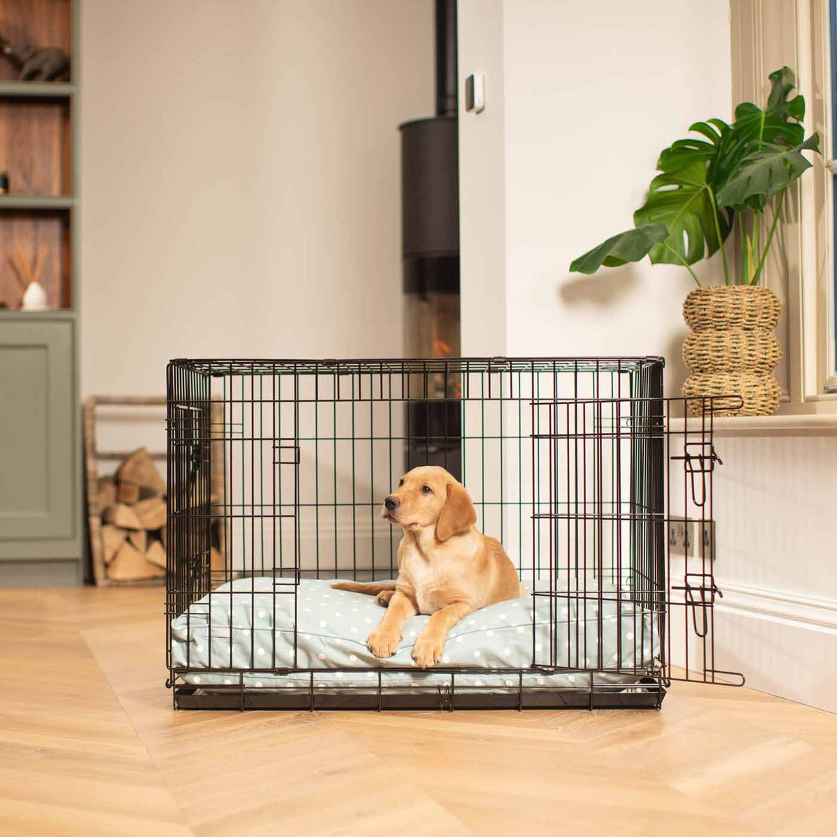 Dog Cushion in Duck Egg Spot, view 6