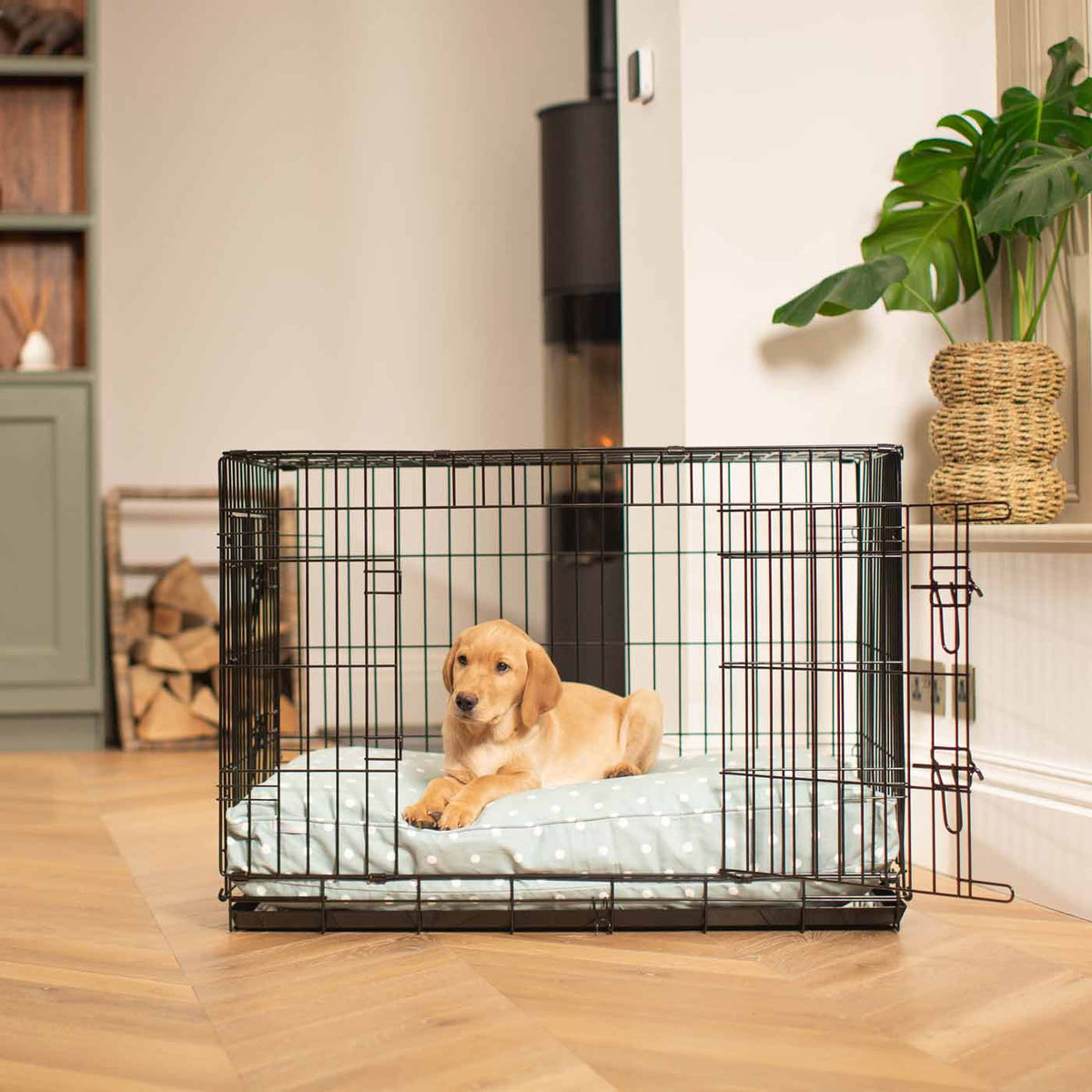 Dog Cushion in Duck Egg Spot, view 7