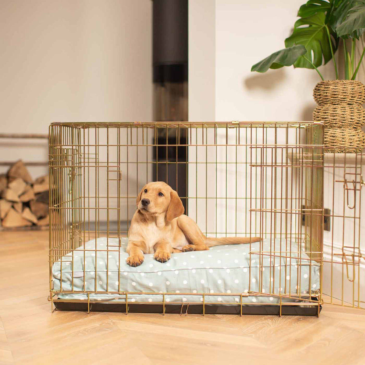 Gold Dog Crate with Cushion in Spots & Stripes, view 2