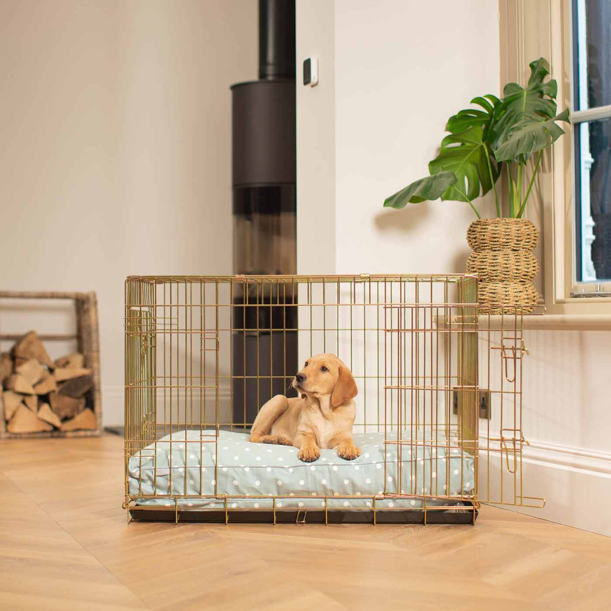 Gold Dog Crate with Cushion in Spots & Stripes