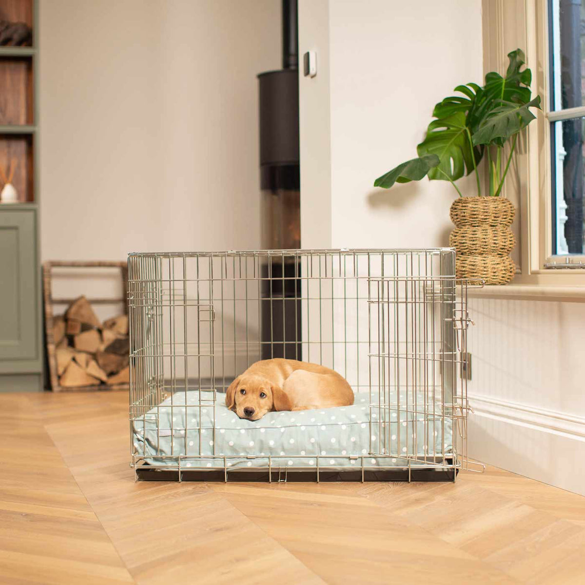 Dog Cushion in Duck Egg Spot, view 10