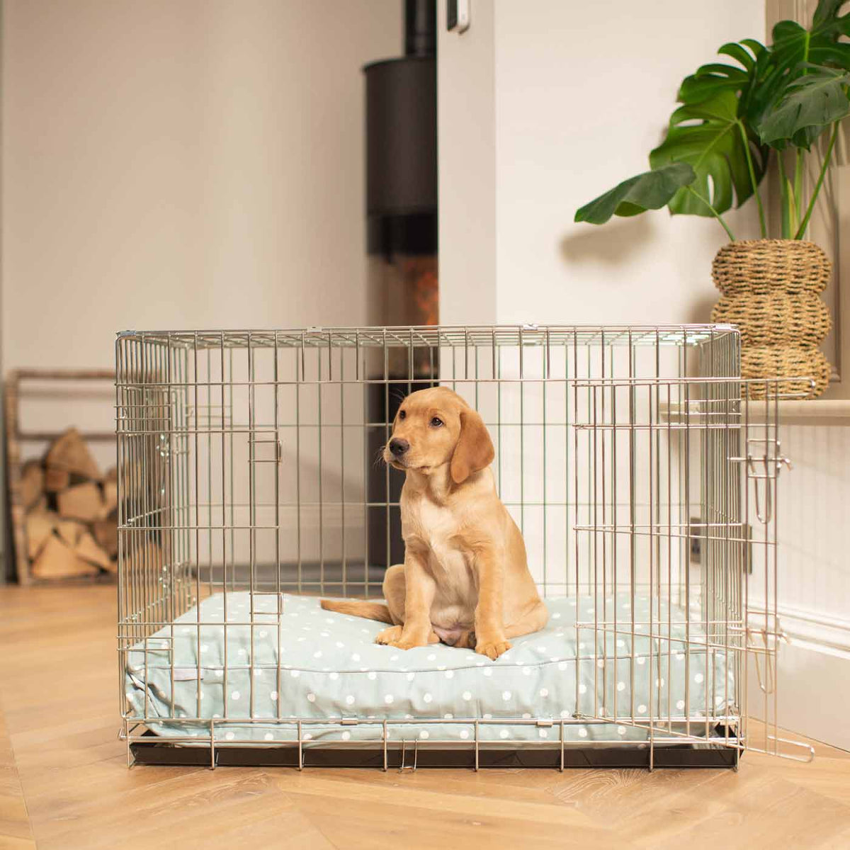 Dog Cushion in Duck Egg Spot, view 11