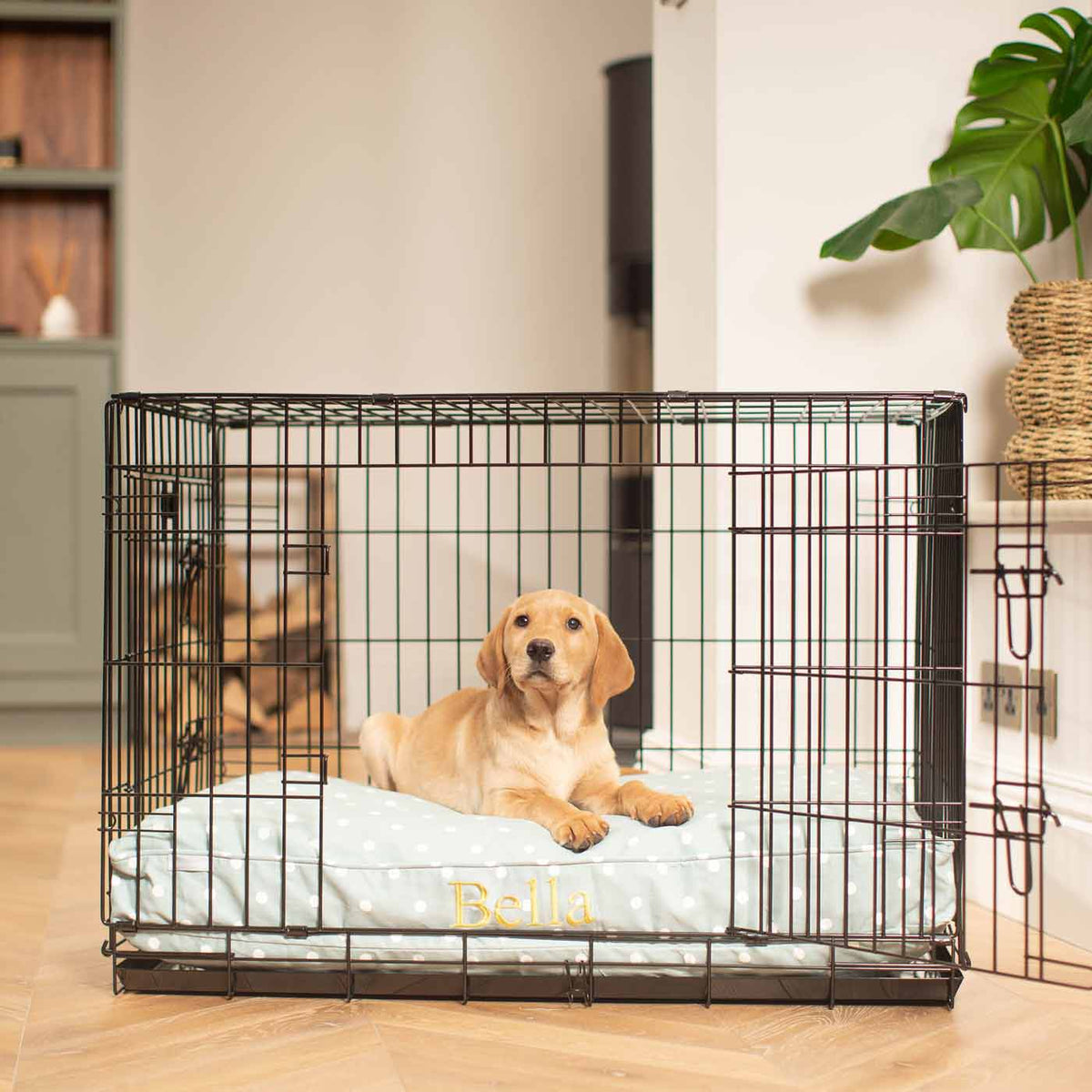 Dog Cushion in Duck Egg Spot, view 8