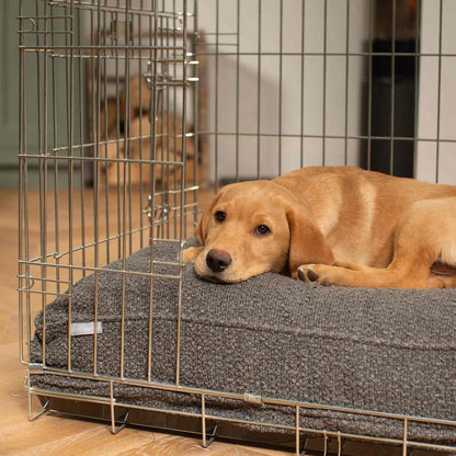 Dog Cushion in Granite Bouclé, view 4