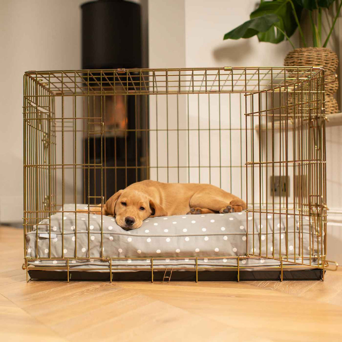 Gold Dog Crate with Cushion in Spots & Stripes, view 3