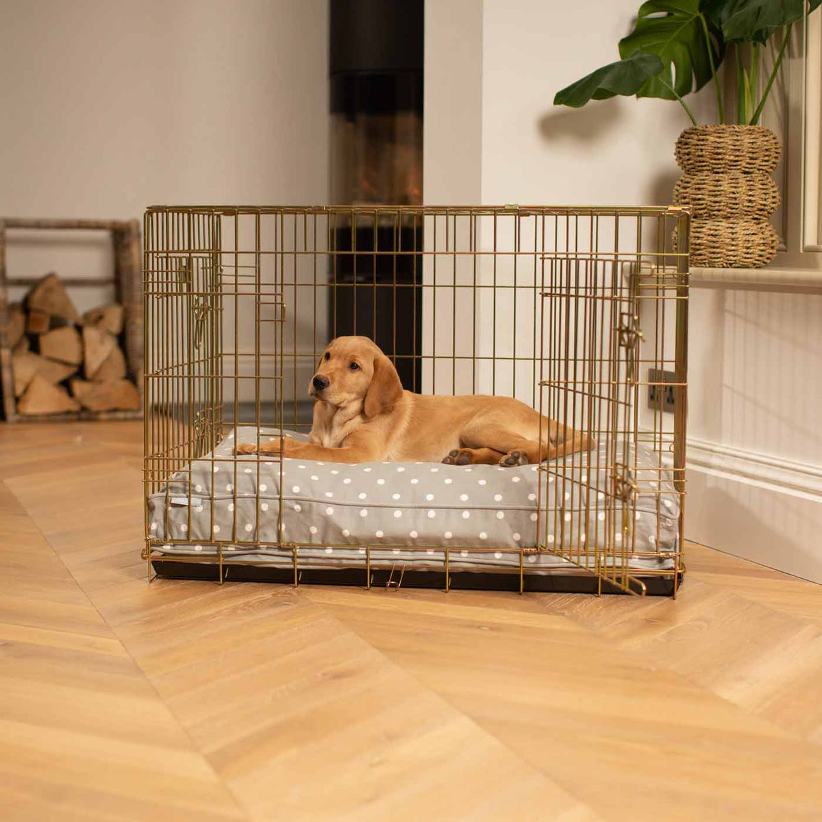 Gold Dog Crate with Cushion in Spots & Stripes, view 5