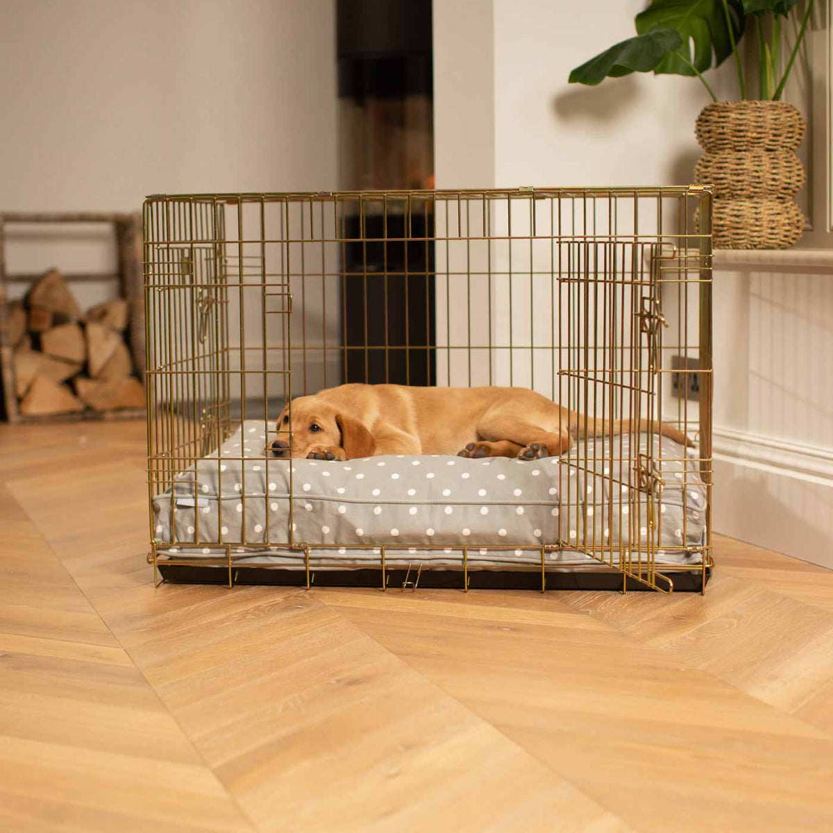 Dog Cushion in Grey Spot, view 4