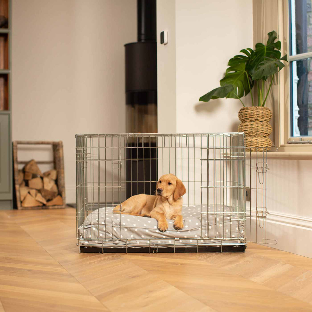Dog Cushion in Grey Spot, view 11
