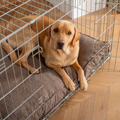 Dog Cushion in Inchmurrin Umber, view 5