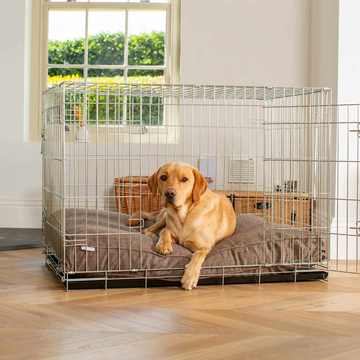 Dog Cushion in Inchmurrin Umber