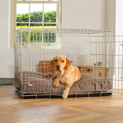Dog Cushion in Inchmurrin Umber