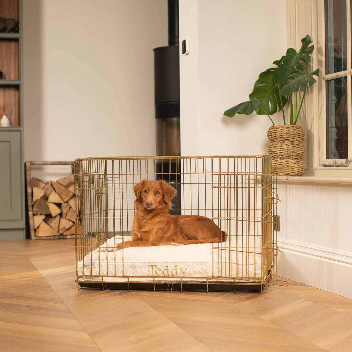 Dog Cushion in Ivory Bouclé, view 4