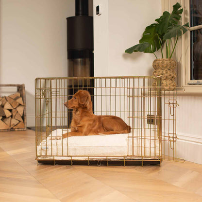 Dog Cushion in Ivory Bouclé, view 5