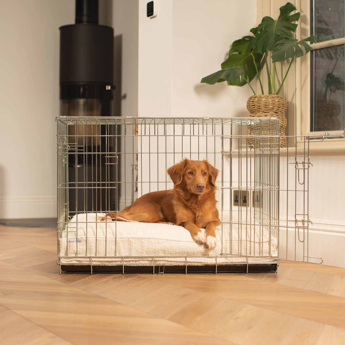 Dog Cushion in Ivory Bouclé, view 6