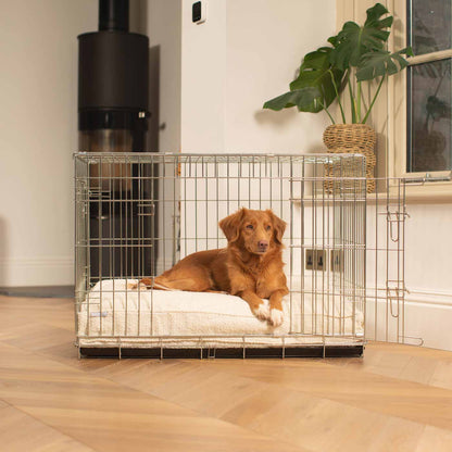 Dog Cushion in Ivory Bouclé, view 6