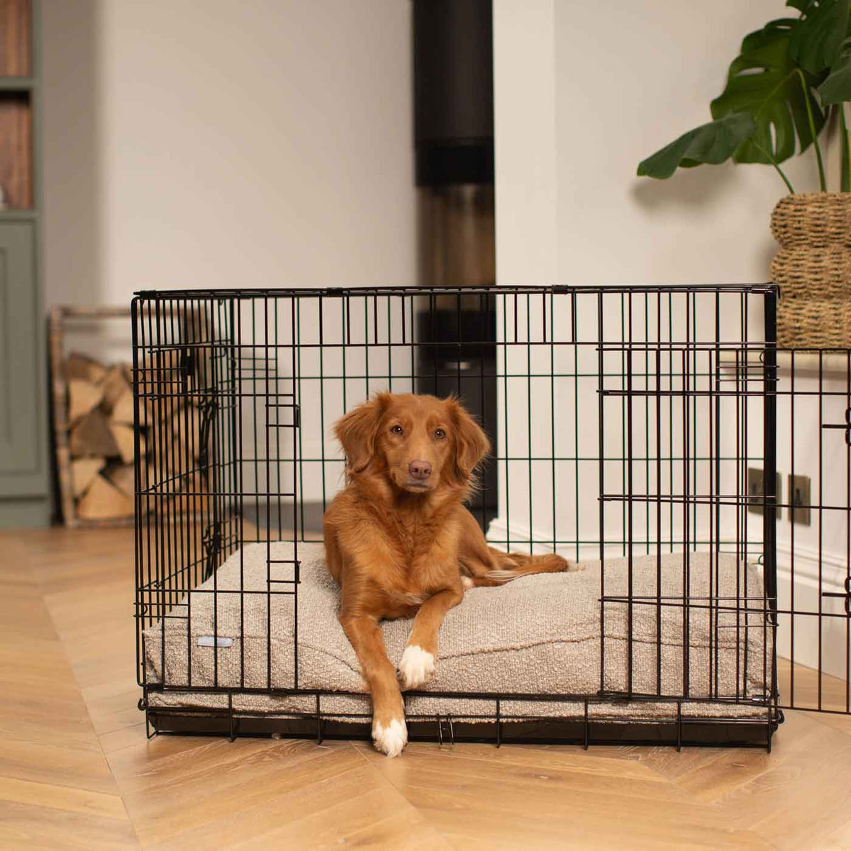 Dog Cushion in Mink Bouclé, view 8