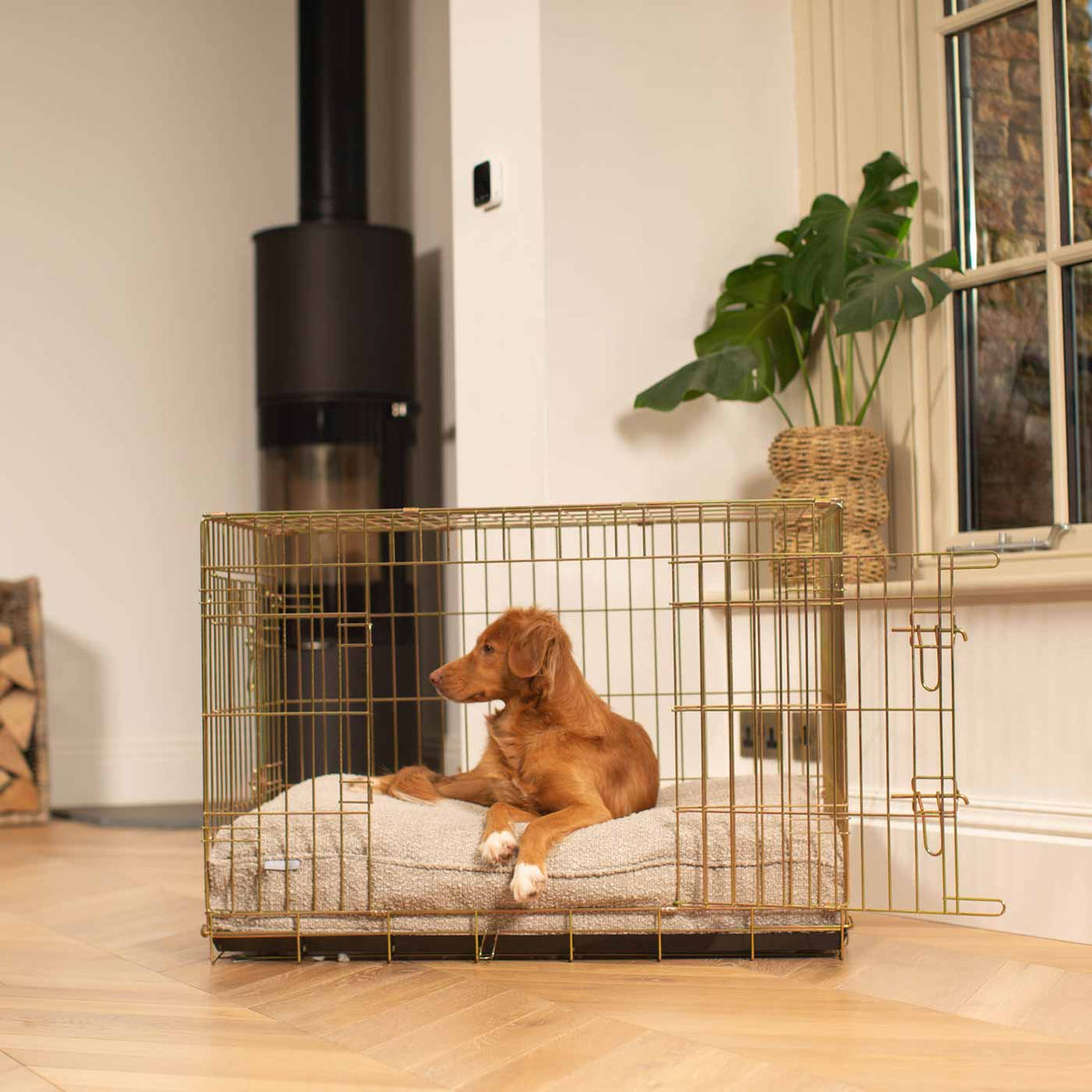 Dog Cushion in Mink Bouclé, view 3