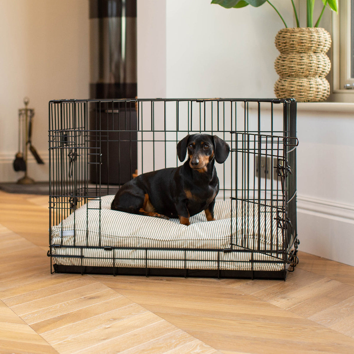 Dog Cushion in Regency Stripe, view 5