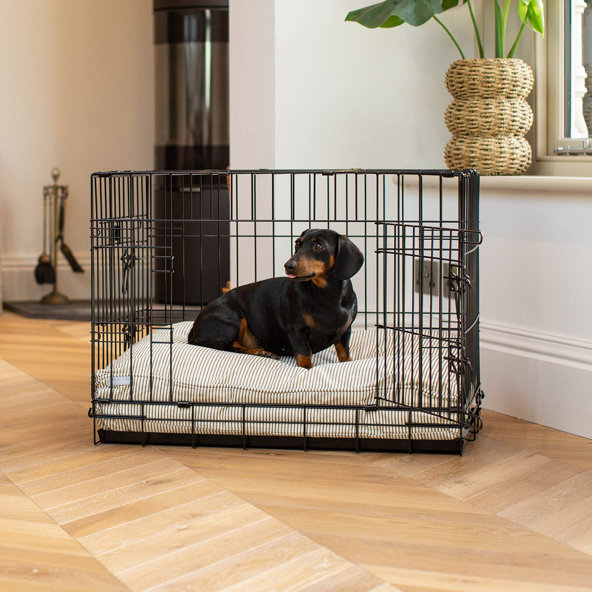 Dog Cushion in Regency Stripe, view 4