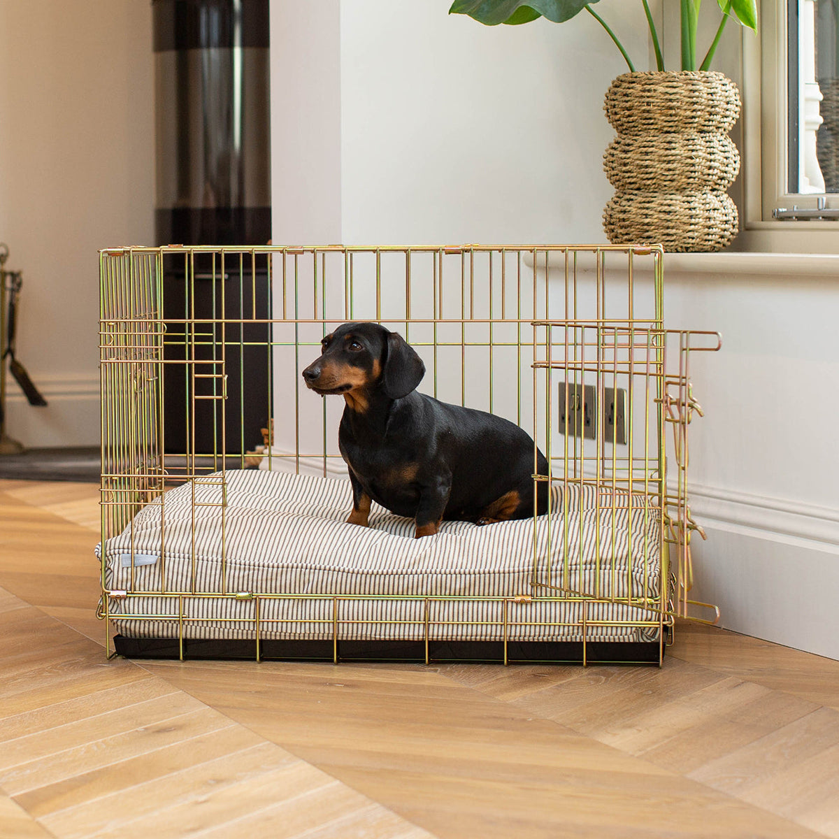 Dog Cushion in Regency Stripe, view 3