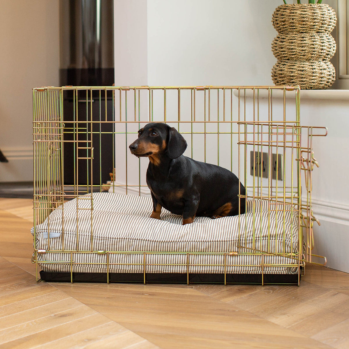 Gold Dog Crate with Cushion in Spots & Stripes, view 6