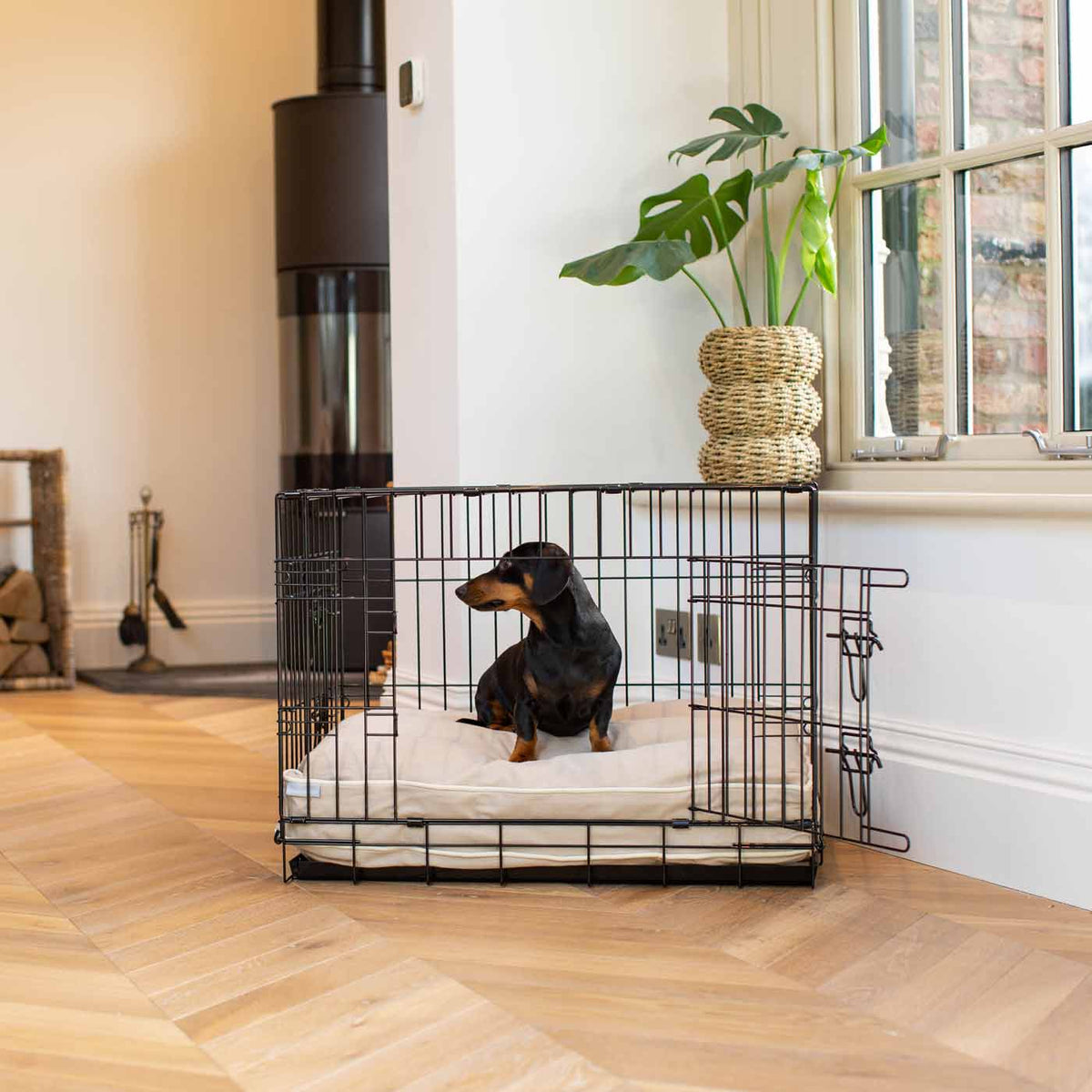 Dog Cushion in Savanna Oatmeal, view 6