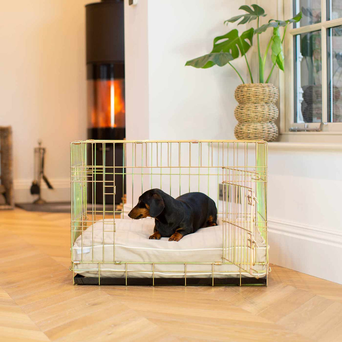 Gold Dog Crate with Cushion in Savanna, view 8