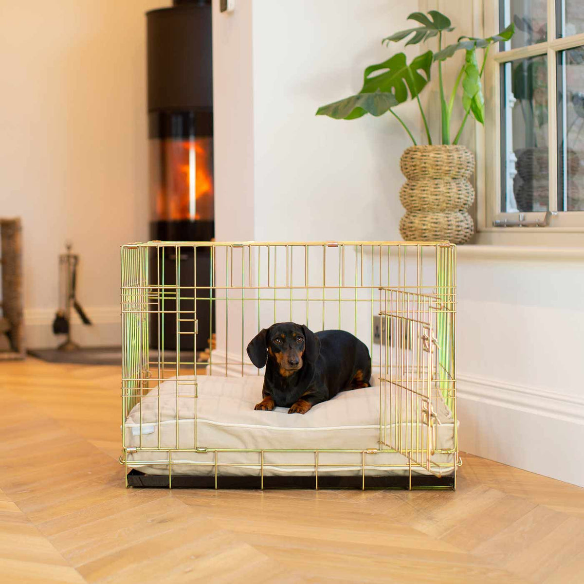 Gold Dog Crate with Cushion in Savanna, view 7
