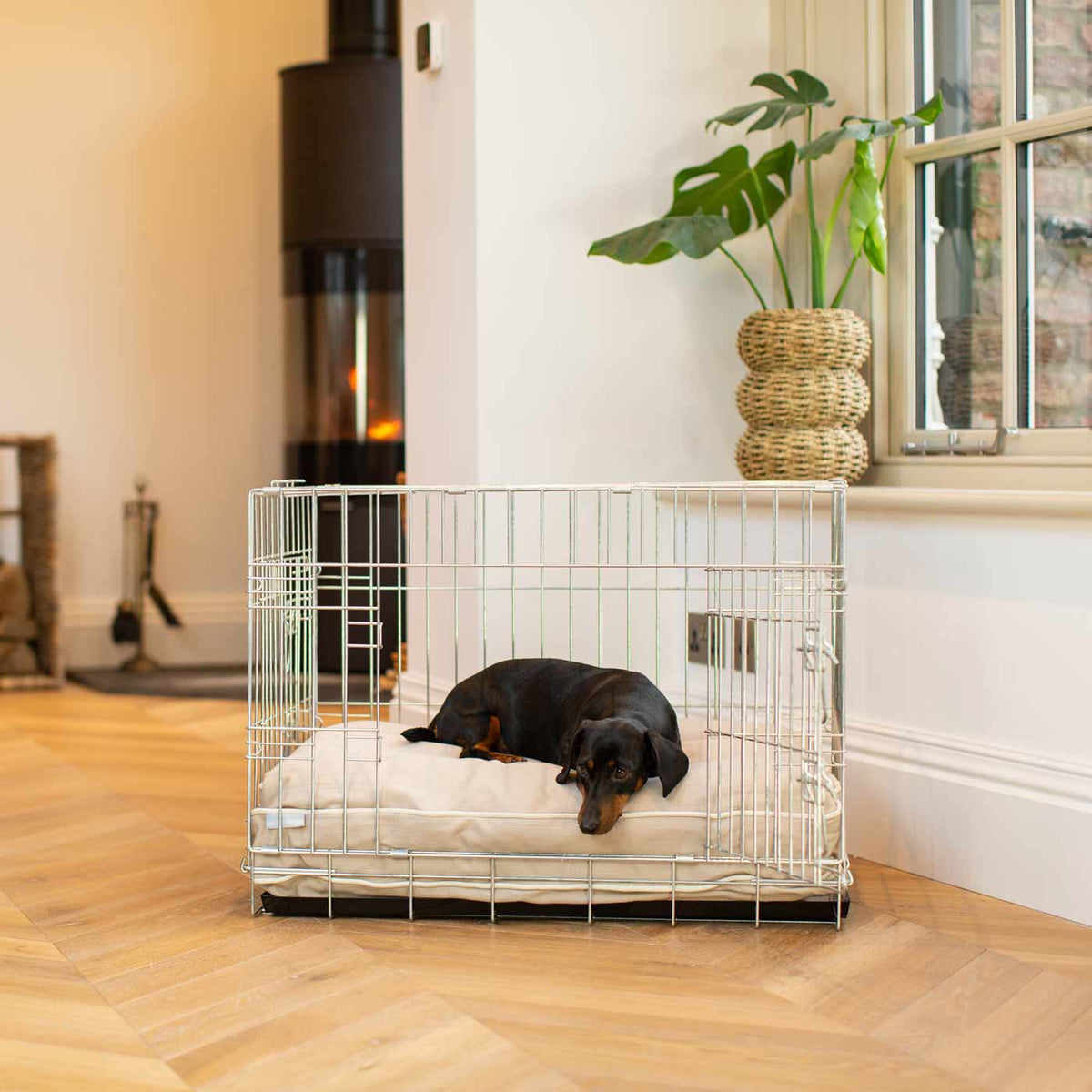 Dog Cushion in Savanna Oatmeal, view 4