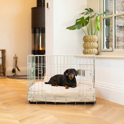 Dog Cushion in Savanna Oatmeal