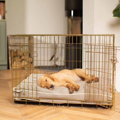 Gold Dog Crate with Cushion in Savanna