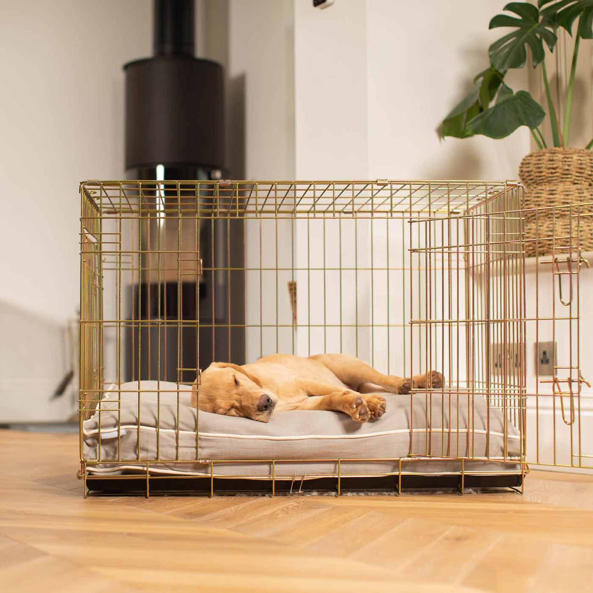 Dog Cushion in Savanna Stone, view 4