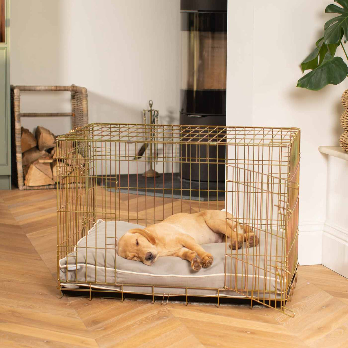 Gold Dog Crate with Cushion in Savanna, view 4