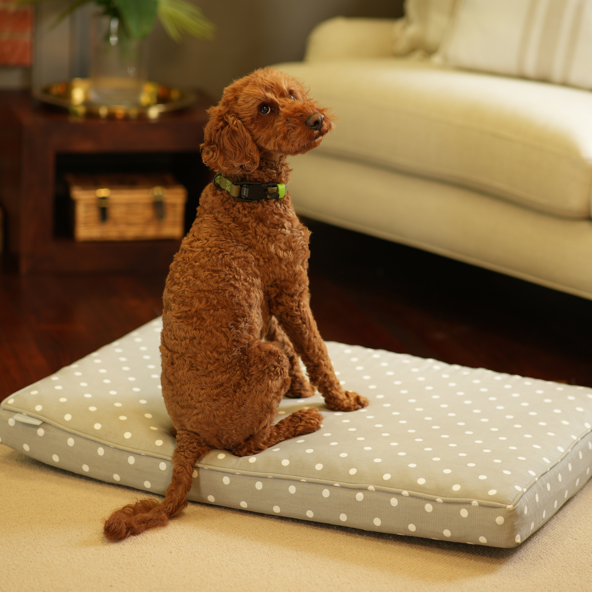 Dog Cushion in Grey Spot, view 18