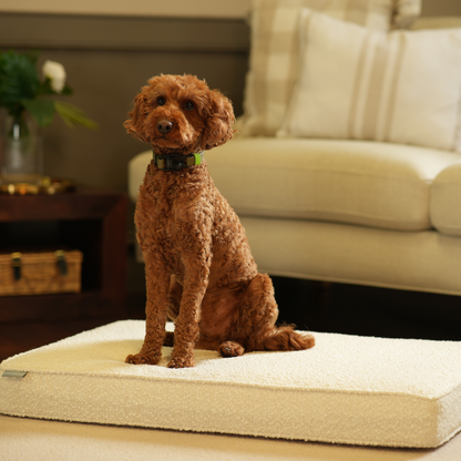 Dog Cushion in Ivory Bouclé, view 18