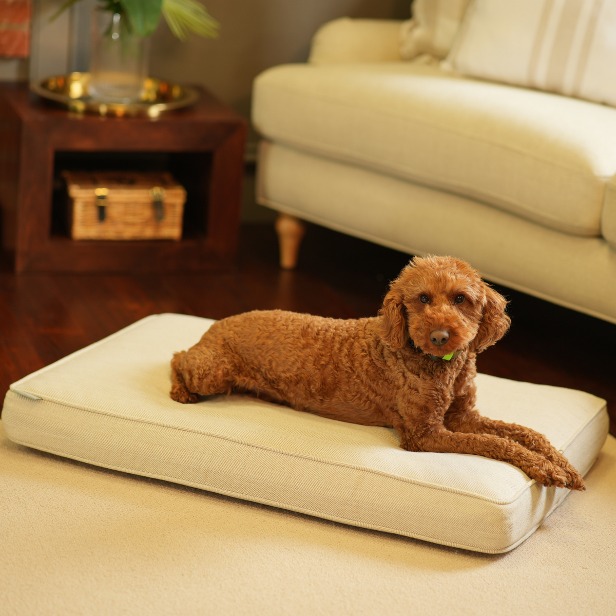 Dog Cushion in Natural Herringbone Tweed, view 18