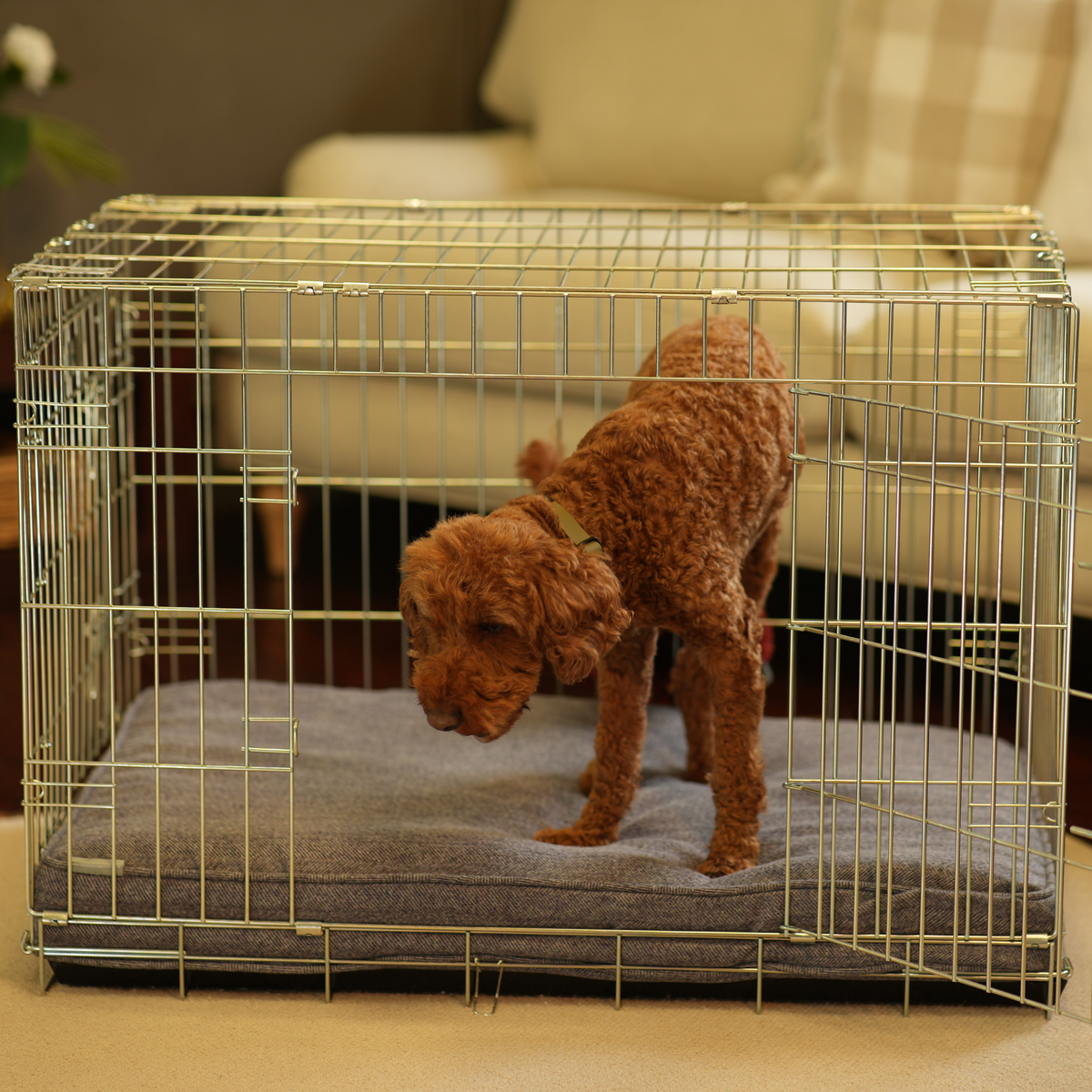 Dog Cushion in Pewter Herringbone Tweed, view 12