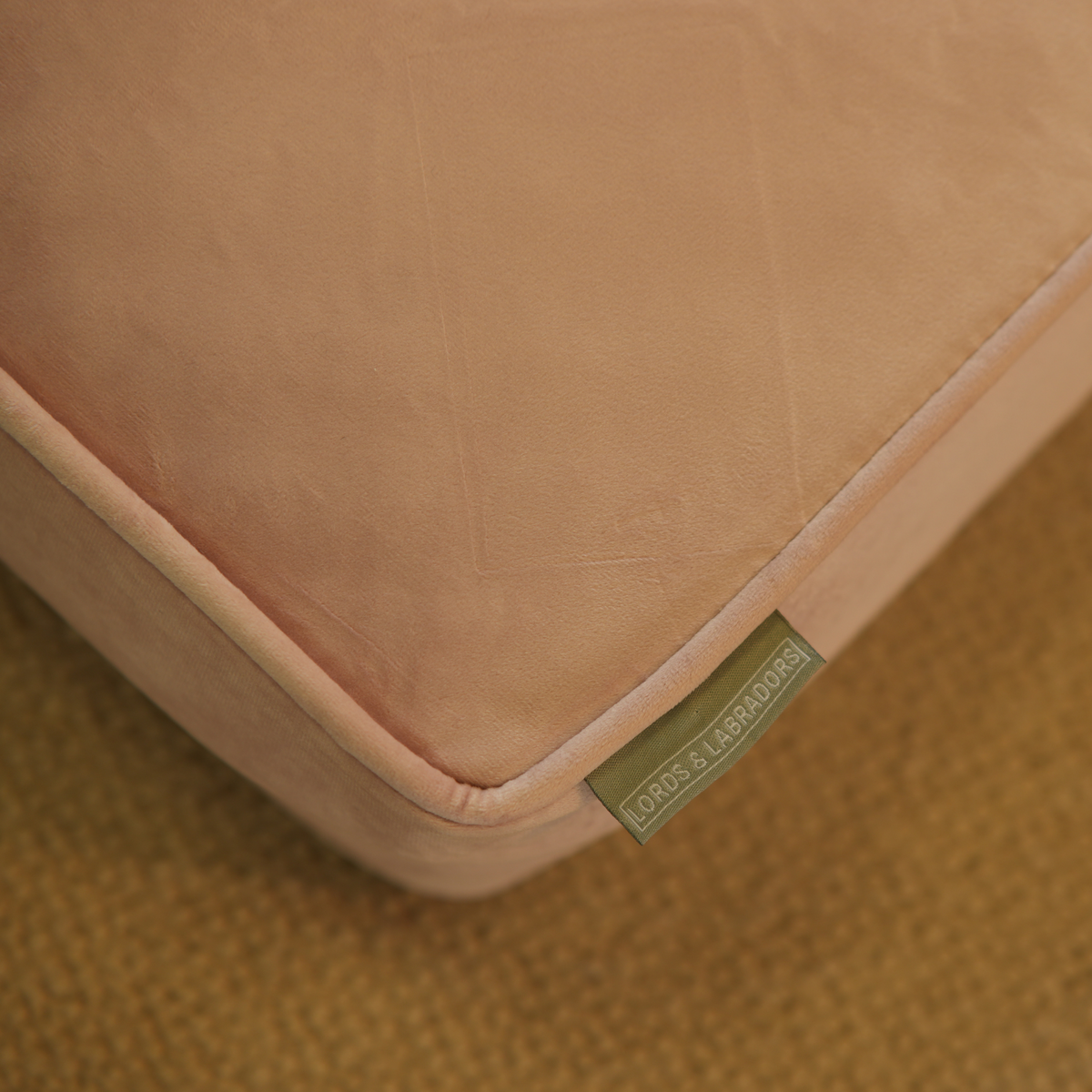 Dog Cushion in Blossom Velvet, view 13
