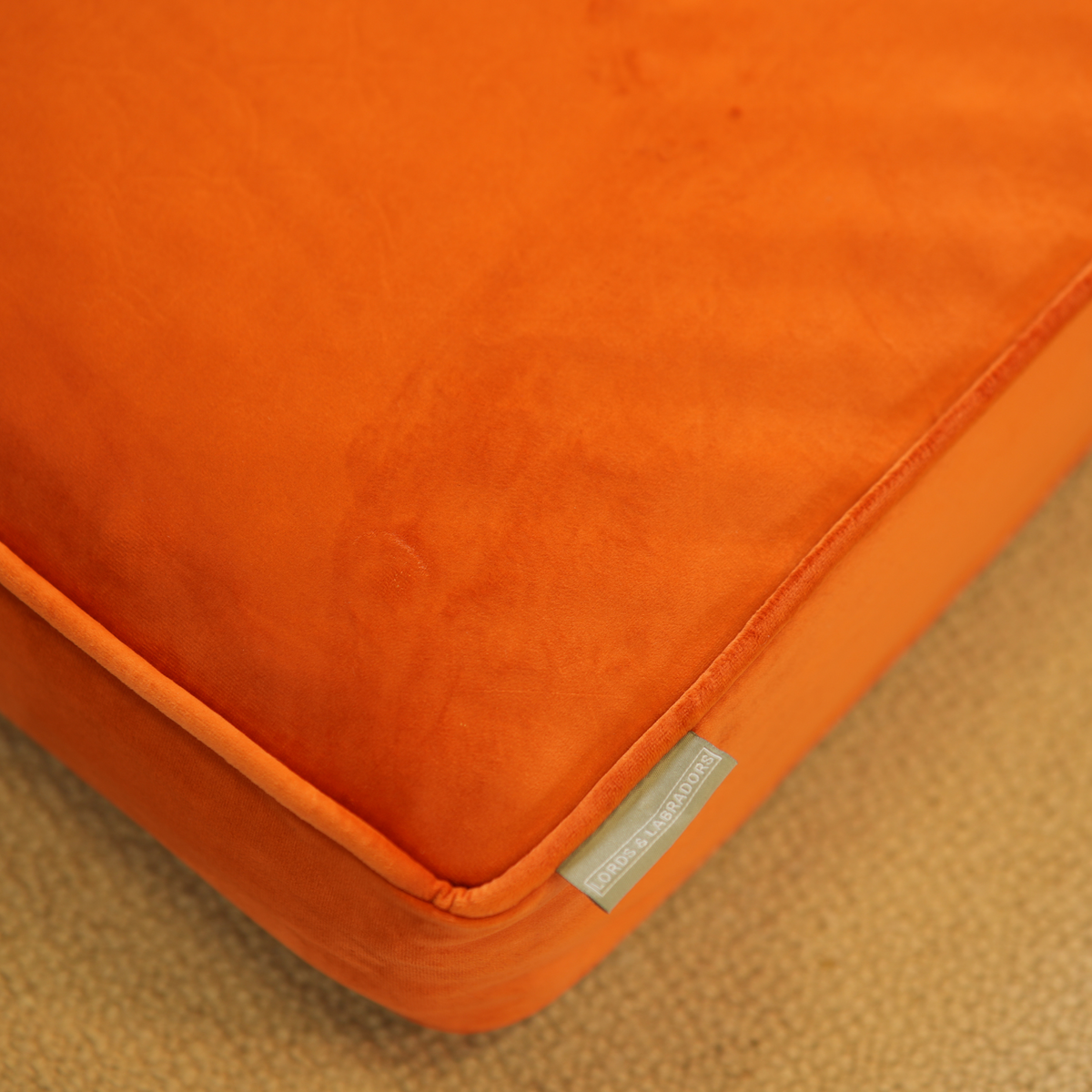 Dog Cushion in Pumpkin Velvet, view 13