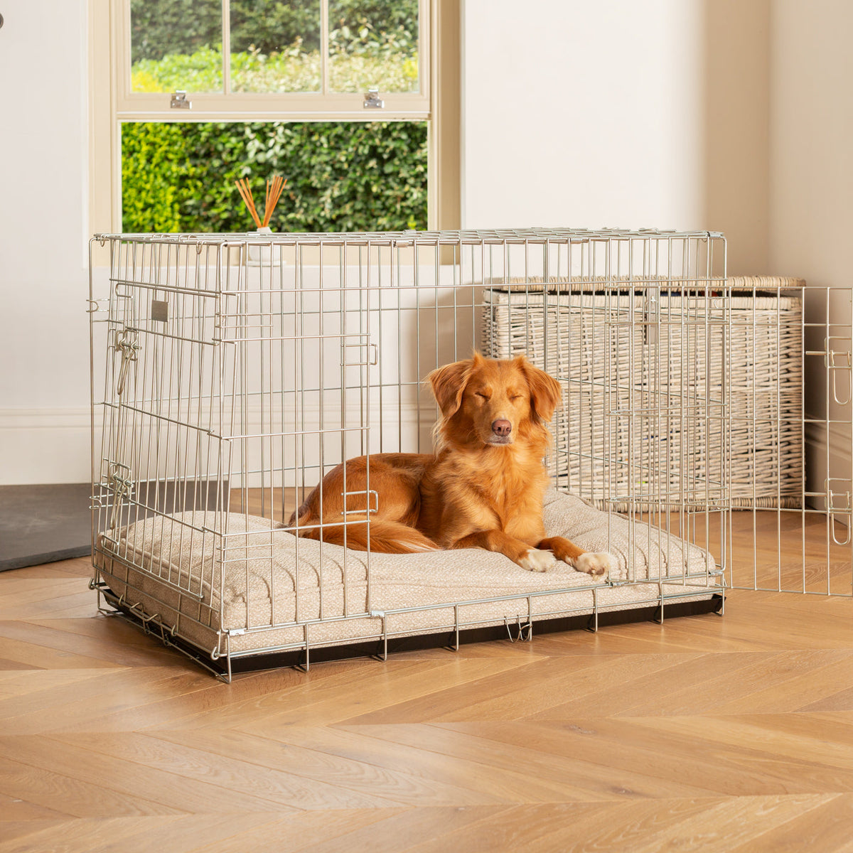 Dog Cushion in Essentials Herdwick Sandstone, view 10