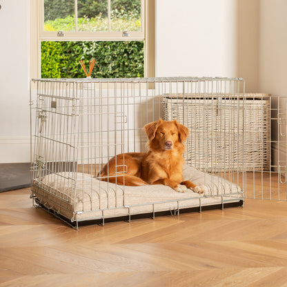 Dog Cushion in Essentials Herdwick Sandstone, view 10