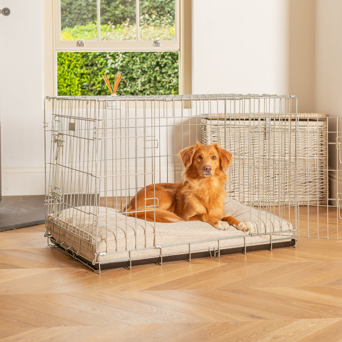 Dog Cushion in Essentials Herdwick Sandstone, view 11