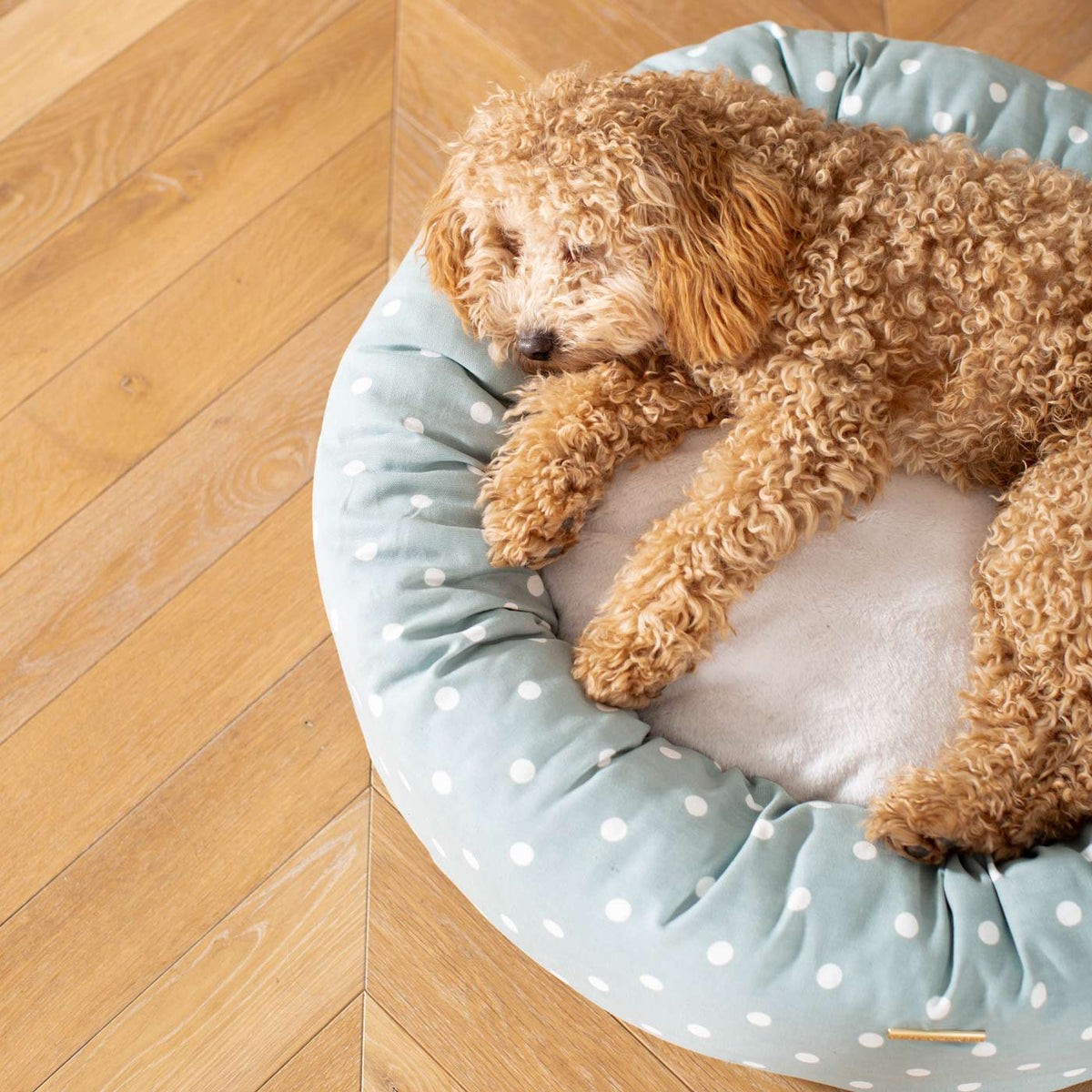 Donut Bed With Removable Covers in Duck Egg Spot, view 4