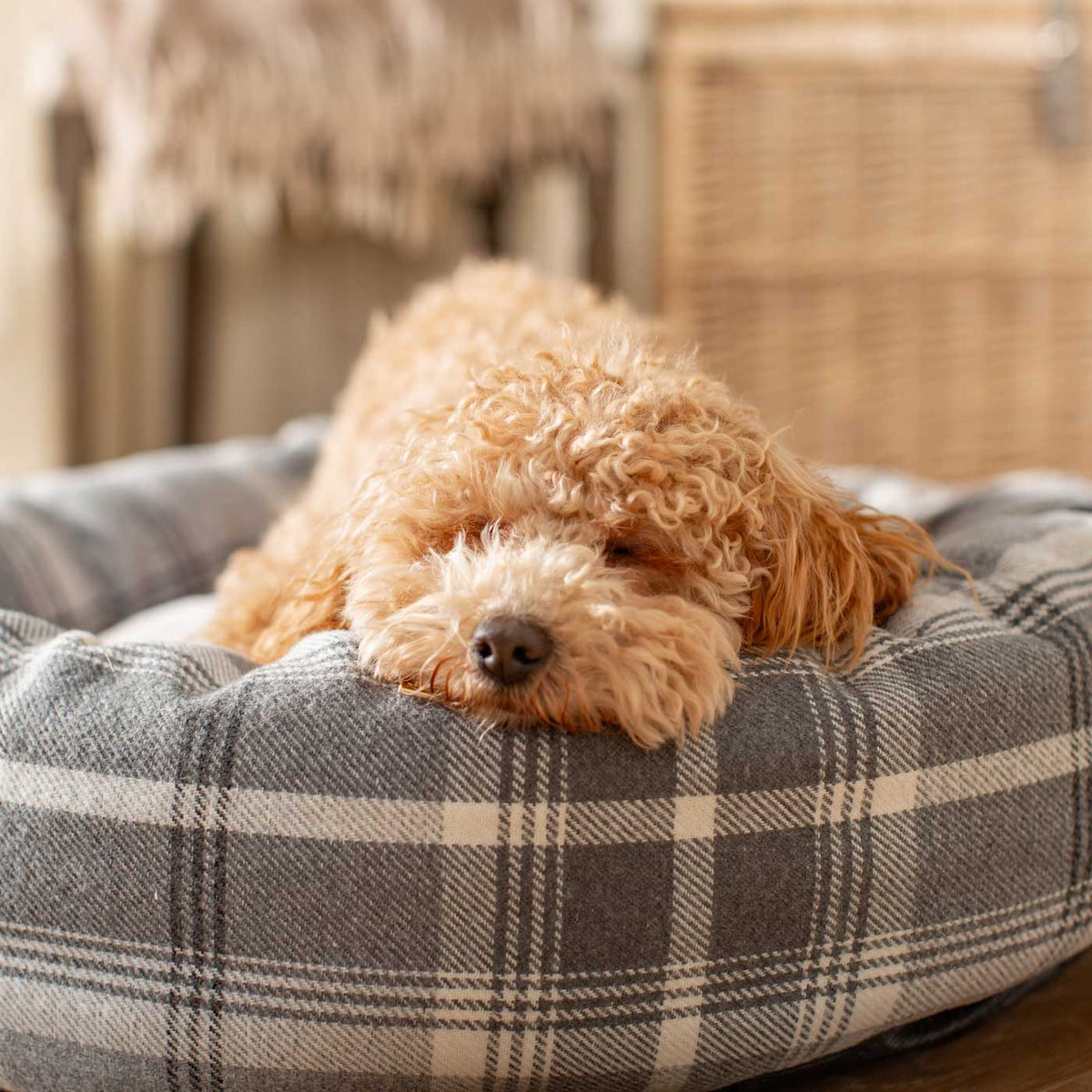 Donut Bed With Removable Covers in Balmoral Dove Grey Tweed, view 2