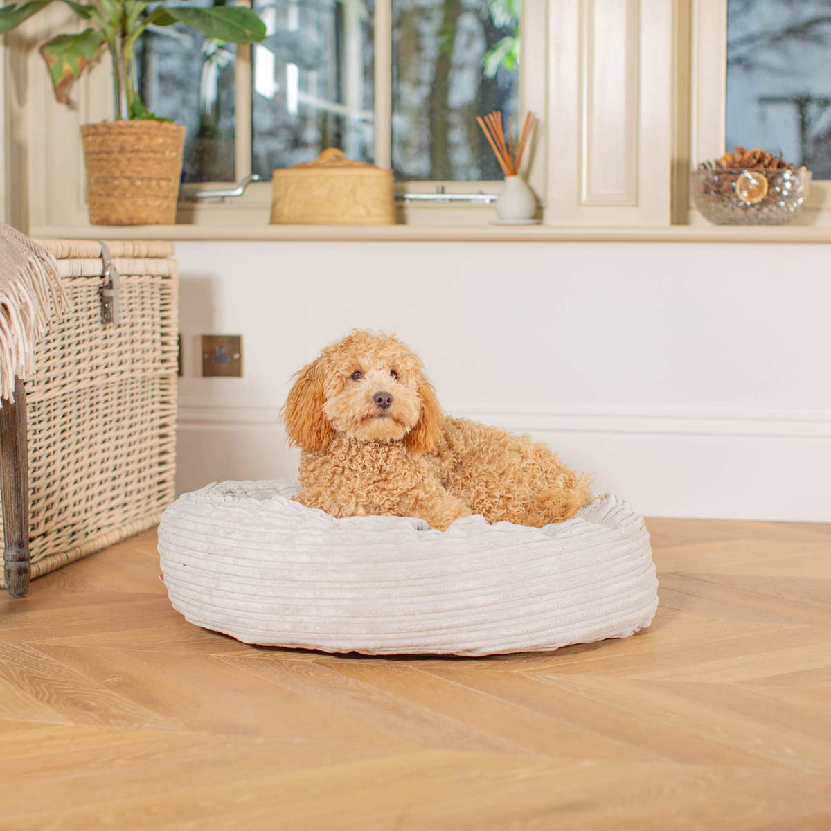Donut Bed With Removable Covers in Light Grey Essentials Plush, view 2